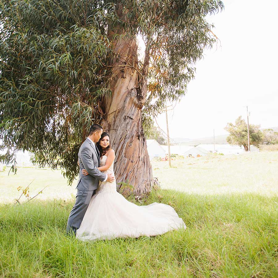 image of married couple by tree